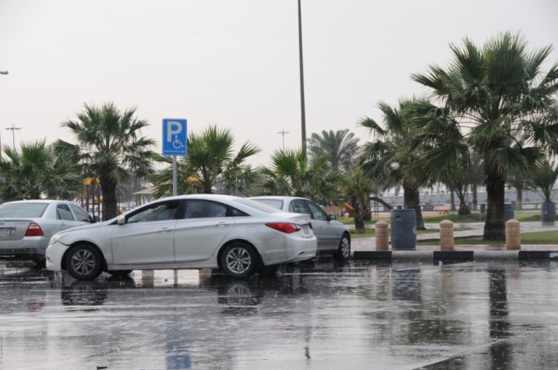 5 أيام أمطار رعدية وضباب على الشرقية