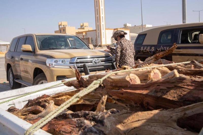 ضبط 16 طناً حطب محلي معدة للبيع في الرياض