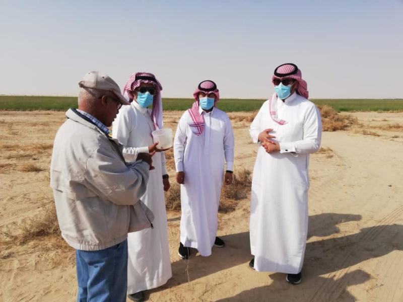 المملكة خالية من دودة الحشد الخريفية