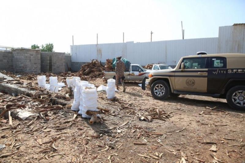 صور.. ضبط 93 طناً من الحطب المحلي في الرياض