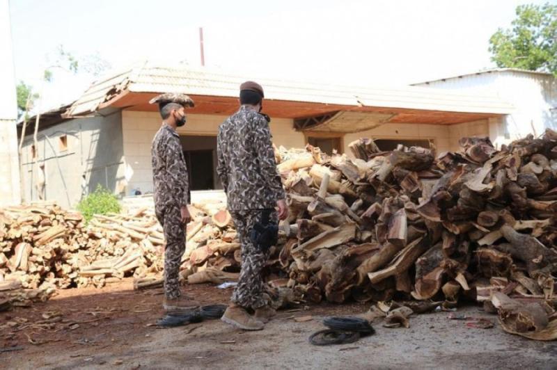 صور.. ضبط 93 طناً من الحطب المحلي في الرياض