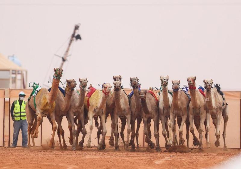 إعلان نتائج التحكيم المبدئي في 'دق المجاهيم'