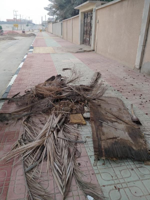 رفع المخلفات من شوارع مليجة