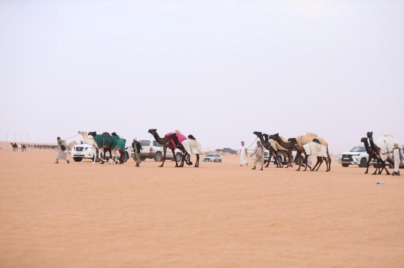 «وقفة» تدخل التاريخ بأول جائزة في شوط «المفاريد» عن لون «المجاهيم»