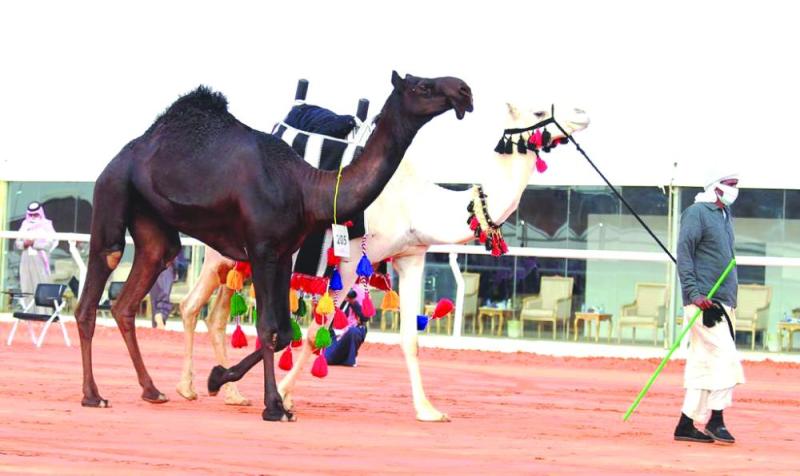 «الذاير»..صدارة بس