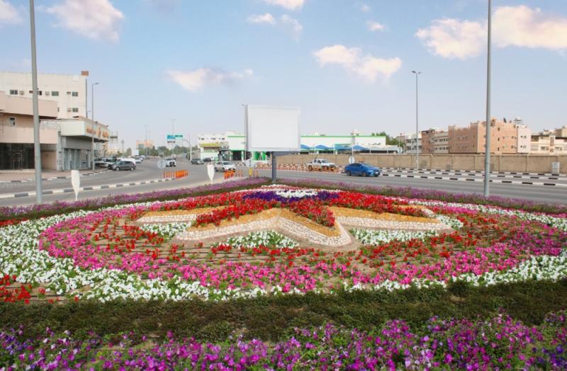 49 ألف زهرة تزين ميادين وسط الدمام
