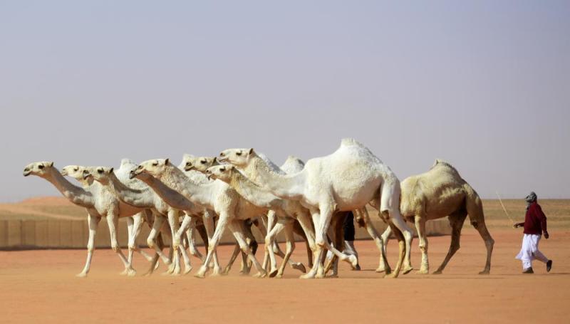 ابن نادر: توقعت الفوز من ملعب العرض