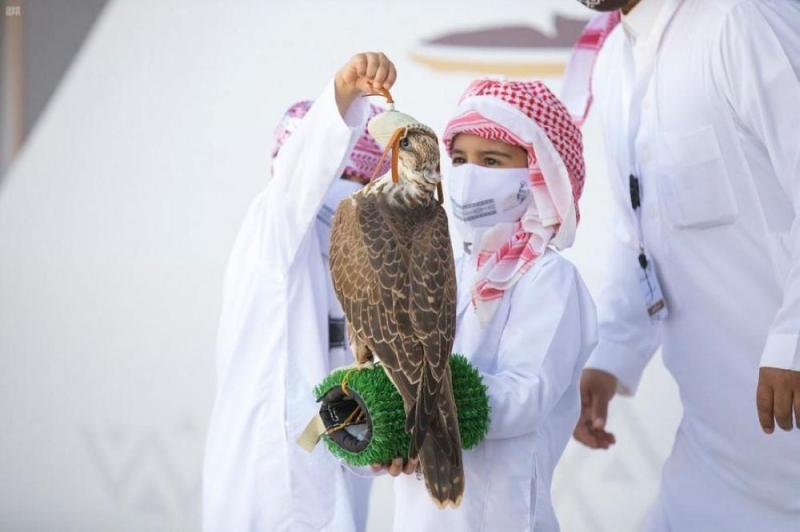 طفل يحقق لقب كأس «صقار المستقبل»