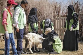 125 ساعة تدريب بيطري للأيتام في مأرب