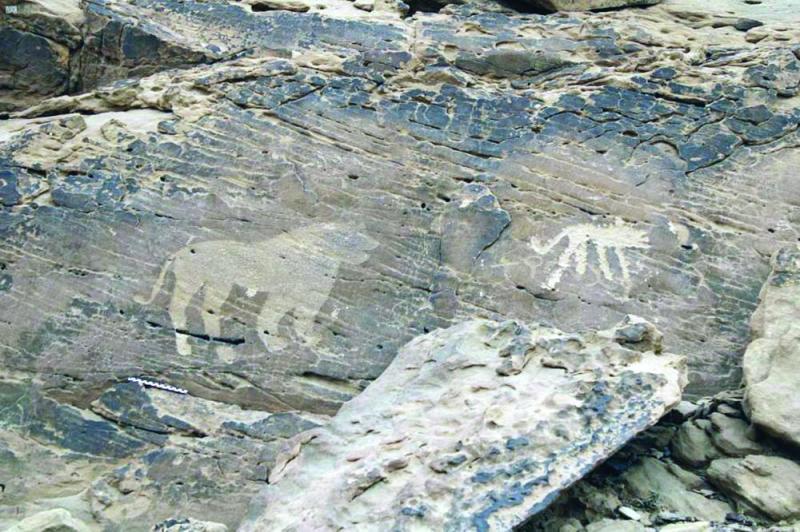 «أسود القصيم».. رسوم صخرية تبوح بأحداث التاريخ