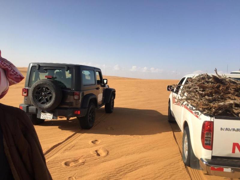 بالصور .. حملة موسعة لمكافحة الاحتطاب في 4 مناطق