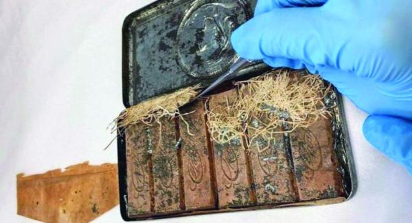 «شوكولاتة» عمرها 120 عاما