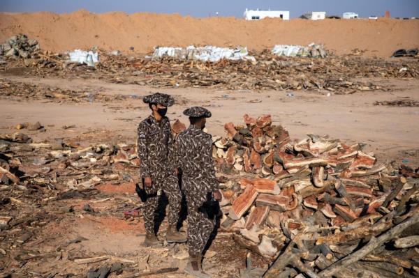 ضبط 90 طن «حطب محلي» في الرياض