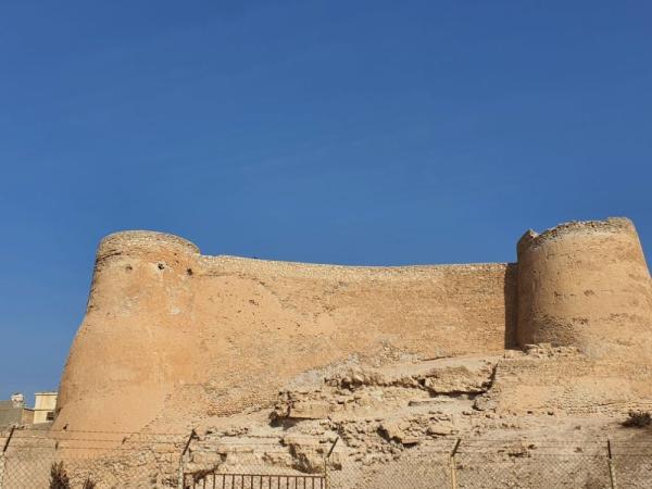 «تاروت».. كنوز أثرية شاهدة على التاريخ