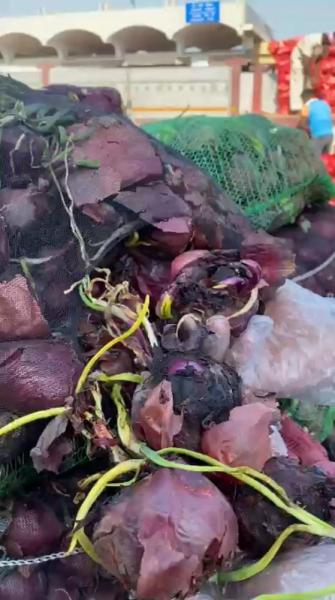 وزنها 2 طن.. إتلاف صفقة بصل بالسوق المركزي بالدمام