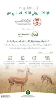 "بيئة بلا ورق".. ربط إلكتروني بين البيئة و"الحياة الفطرية"