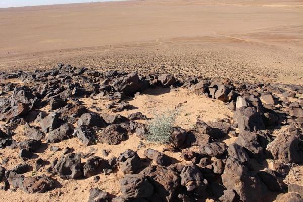 الآثار الحجرية تؤكد تاريخ «الجزيرة العربية الخضراء»