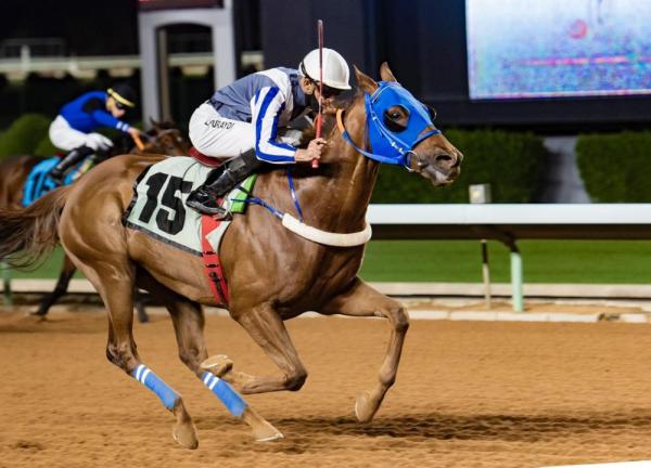 هيبو يستعيد الهيبة بكاس أوروبا و غملاس بطلا للميادين في سباقات الخيل