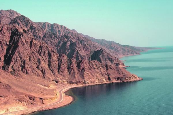 رؤية ولي العهد.. خارطة طريق لـ «الريادة والابتكار»