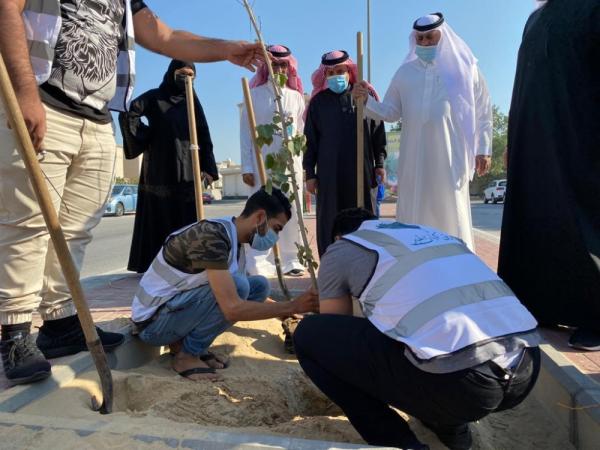 «قطيفنا خضراء».. 44 متطوعا يزرعون 500 شجرة
