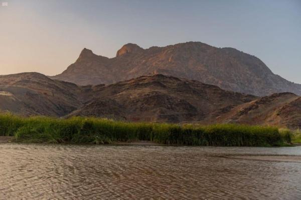 «تهامة الباحة».. وجهة الباحثين عن السياحة «الدافئة»
