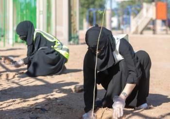 بدء تشجير بوابة مكة المكرمة