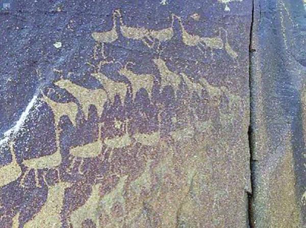 «صخور الطائف».. دفتر وثائقي طبيعي لأحداث التاريخ