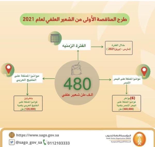 طرح مناقصةً لاستيراد 480 ألف طن شعير