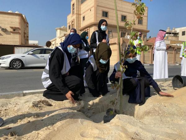 «قطيفنا خضراء».. 40 متطوعا يزينون «عنك» بـ250 شجرة