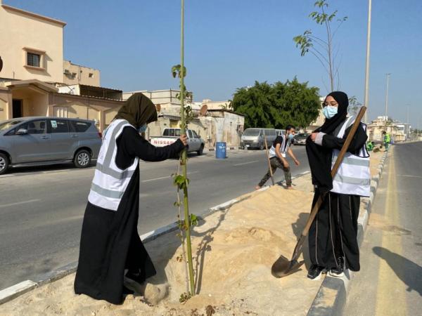 «قطيفنا خضراء».. 40 متطوعا يزينون «عنك» بـ250 شجرة