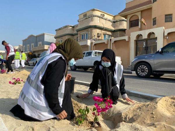 «قطيفنا خضراء».. 40 متطوعا يزينون «عنك» بـ250 شجرة
