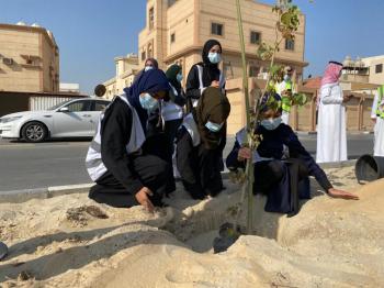 «قطيفنا خضراء».. 40 متطوعا يزينون «عنك» بـ250 شجرة