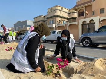 «قطيفنا خضراء».. 40 متطوعا يزينون «عنك» بـ250 شجرة