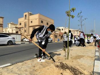 «قطيفنا خضراء».. 40 متطوعا يزينون «عنك» بـ250 شجرة