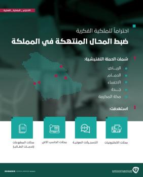 ضبط 11620 مادة منتهكة للحقوق الإبداعية 