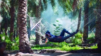 «الريف» رافد السياحة الزراعية المستدامة بالأحساء