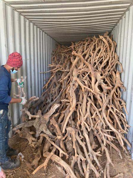 ضبط 51.5 طن حطب محلي بالجبيل والقطيف