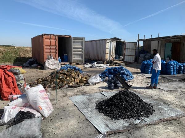 ضبط 51.5 طن حطب محلي بالجبيل والقطيف