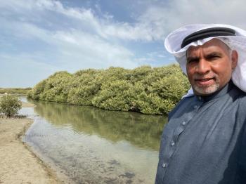 المانجروف.. «كنز بيئي» تحاصره الأنقاض