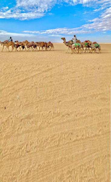 «نجران».. بوابة استكشاف «الربع الخالي»