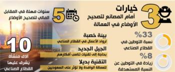 الخريف: أكثر من 500 طلب رخصة بعد اعتماد نظام التعدين