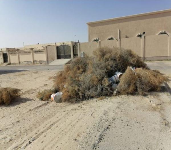 .. ورفع الحشائش من أحياء عين دار