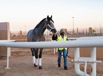 الخيل الأمريكية أولى الجياد الواصلة للرياض للمشاركة في كأس السعودية