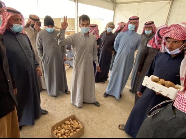 «فقع حفر الباطن».. الأسعار تصل لـ 4 آلاف ريال