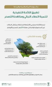 "البيئة": بدء تطبيق لائحة مكافحة التصحر.. و9 أشهر لتصحيح الأوضاع