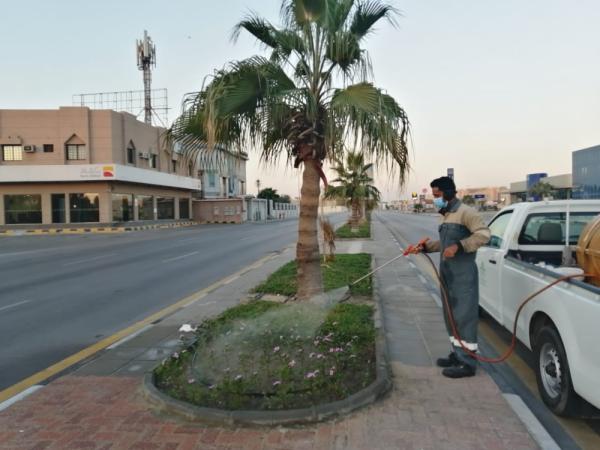 صيانة المسطحات الخضراء شرق الدمام
