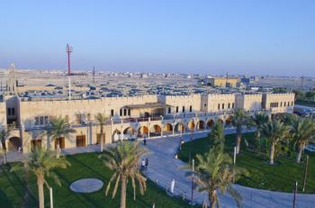 نخيل الشوارع .. موارد مهدرة