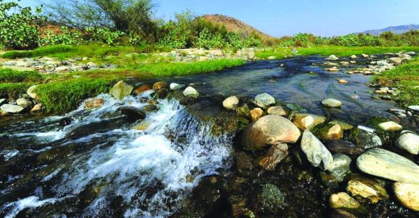 «أودية عسير».. الخضرة والماء وجمال الطبيعة