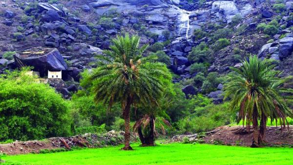 «أودية عسير».. الخضرة والماء وجمال الطبيعة