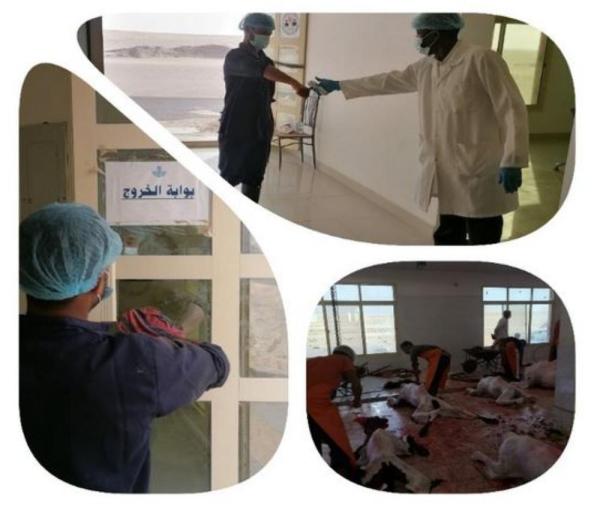 متابعة تعقيم وتطهير «المسلخ» في عريعرة